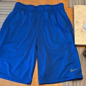 Nike Men's Royal Blue Sports Shorts